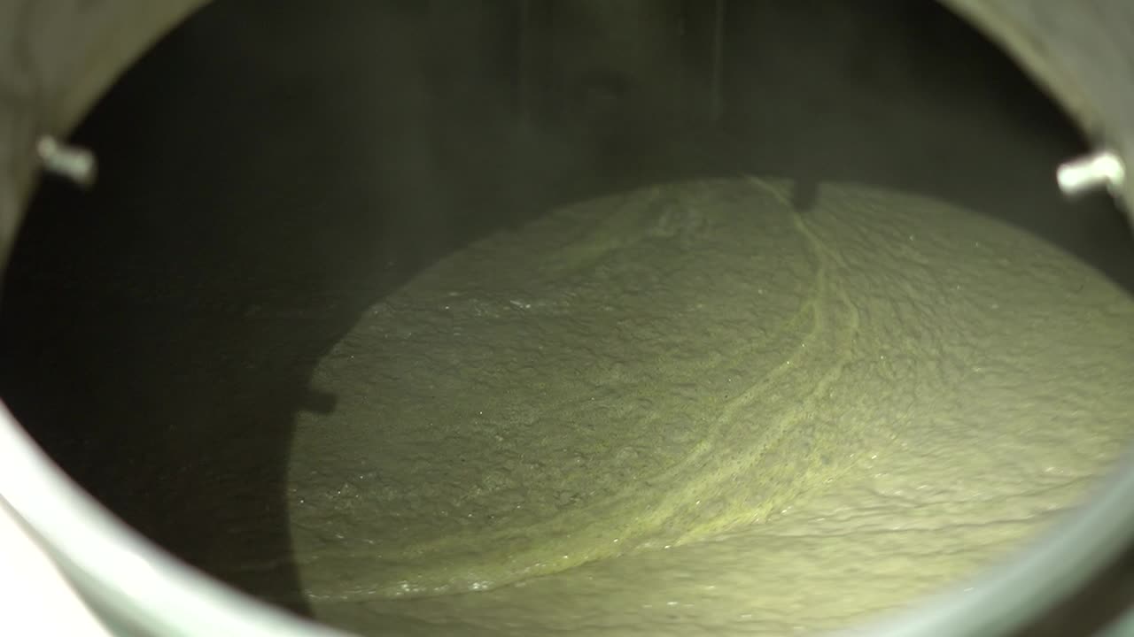 Fishery industry: a fish slurry machine, designed to process fish into a semi-liquid or paste form, which can then be used as an ingredient in various seafood products