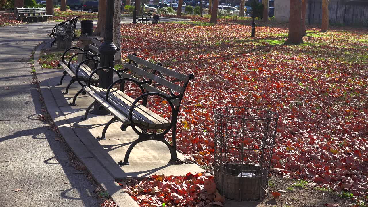 las hojas de otoño cubren un parque solitario en la ciudad de nueva york con bancos de parque por todas partes