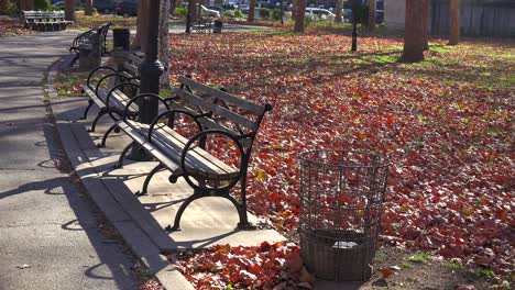 Hojas-De-Otoño-Cubren-Un-Parque-Solitario-En-La-Ciudad-De-Nueva-York-Con-Bancos-De-Parque-Alrededor