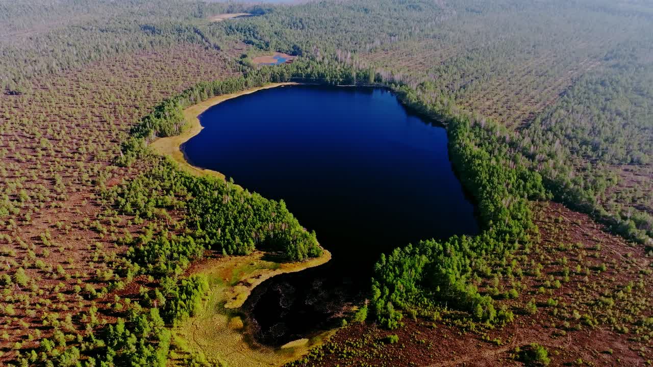 Cinematic drone shot, Akacis Lake surrounded by forest, Kemeri National Park