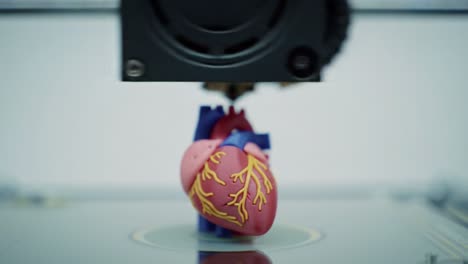 3d printing technology demonstrates a detailed heart model, showcasing advanced techniques in medical simulation and educational use for anatomic understanding