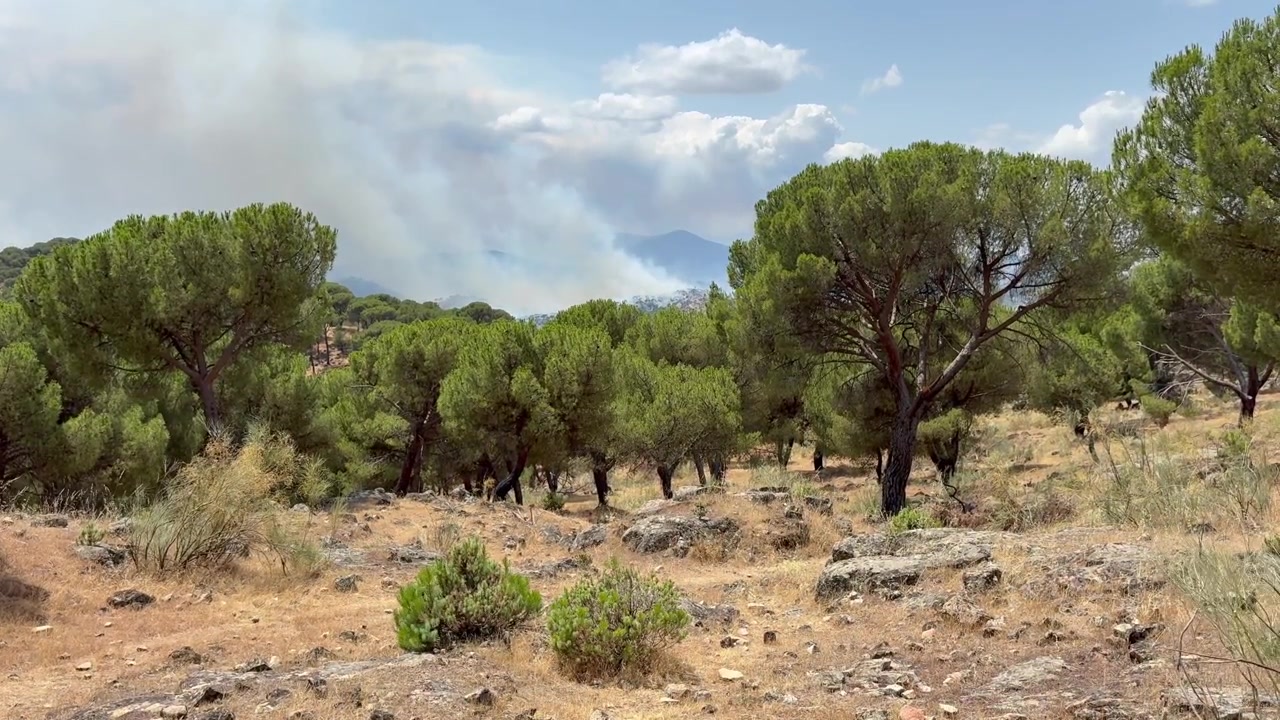 Incendio boschivo nella Spagna centrale. Catastrofe estiva. Vista statica.
