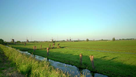 dutch countryside polder pov kinderdijk with mill green meadow ditch and polder