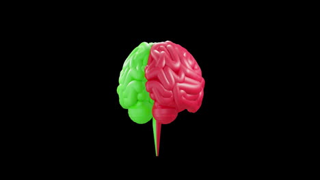 animation of green and red human brain spinning on black background