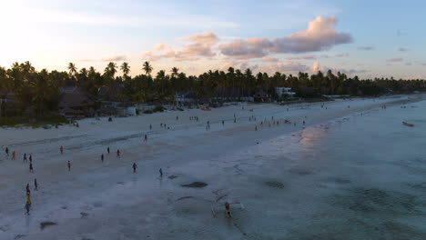 Increíble-Toma-De-Drones-Al-Atardecer-Con-Mucha-Gente-En-La-Costa-De-La-Isla-De-Zanzíbar