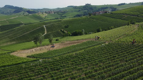 Traktor,-Der-Auf-Dem-Landwirtschaftlichen-Anbaugebiet-Der-Weinberge-Arbeitet