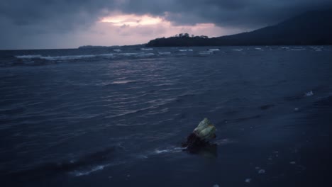 A-coconut-lies-on-the-shore-early-in