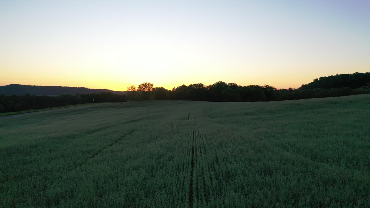 Sunrise/Sunset over a Wheat Field