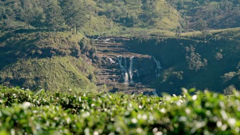 scenic aerial view of saint clair’s waterfall flowing through lush green tea plantations in the hills of nuwara eliya, sri lanka.