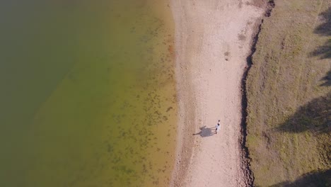 Persona-Montando-Un-Caballo-En-Una-Playa-De-Arena-Disparada-Por-Un-Dron