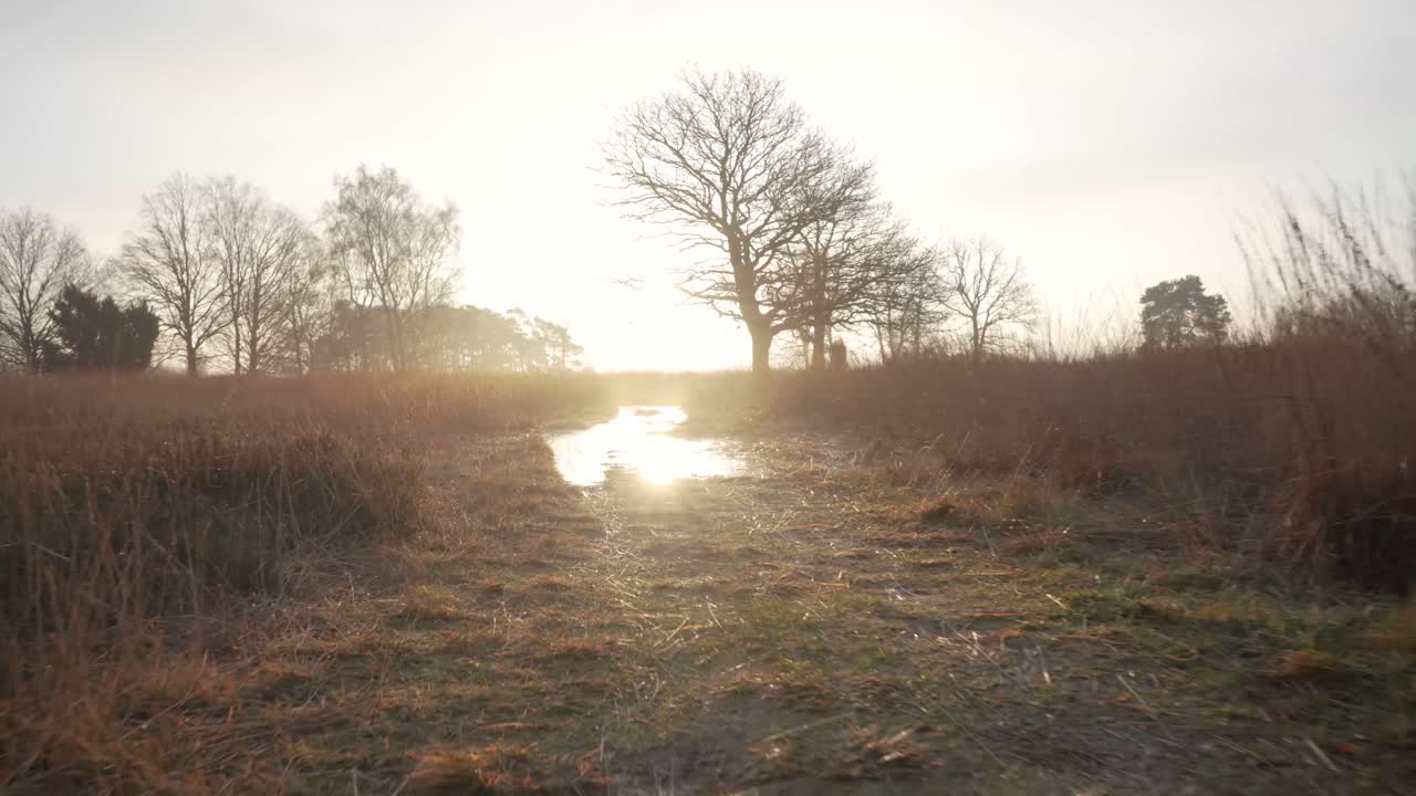 amanecer o atardecer en un pantano o pantano de invierno