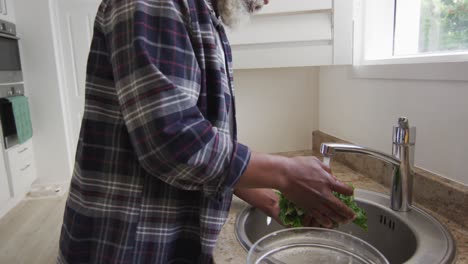 senior man cleaning vegetables in the sink at home