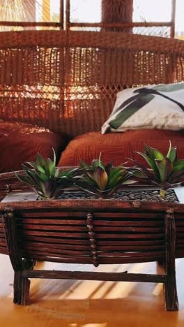 wicker furniture with plants