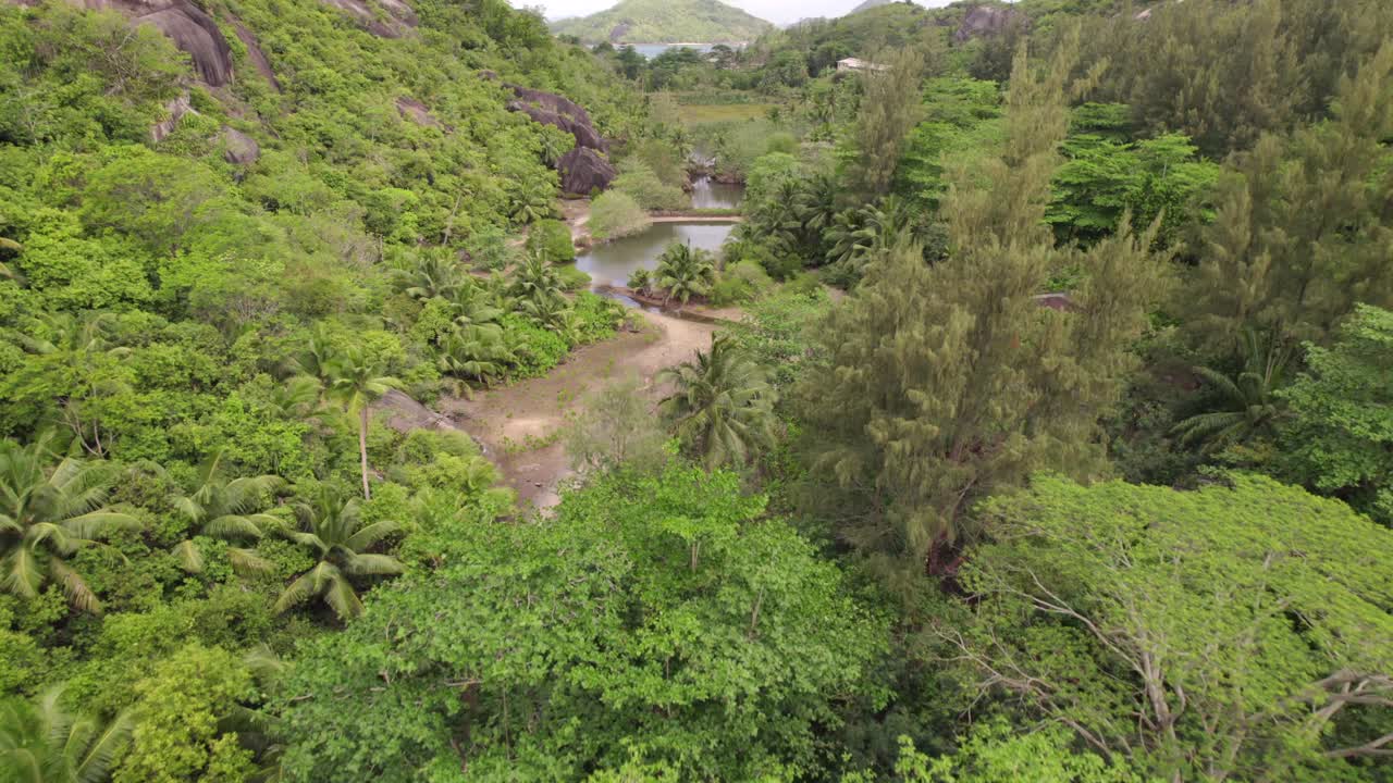 Drone footage of mangrove and lush forest and granites stones at the old NYS school, Cap ternay, Mahe, Seychelles 30fps 1