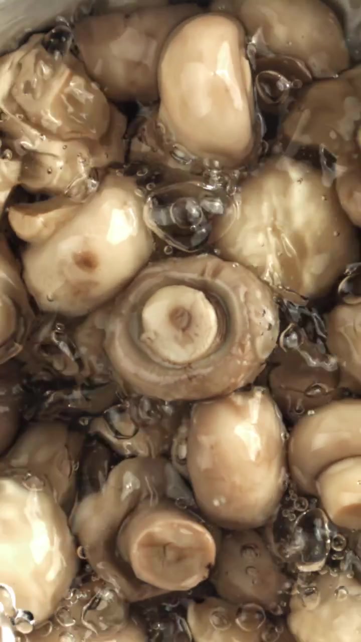 Ferske sopp vaskes med vann i sakte film