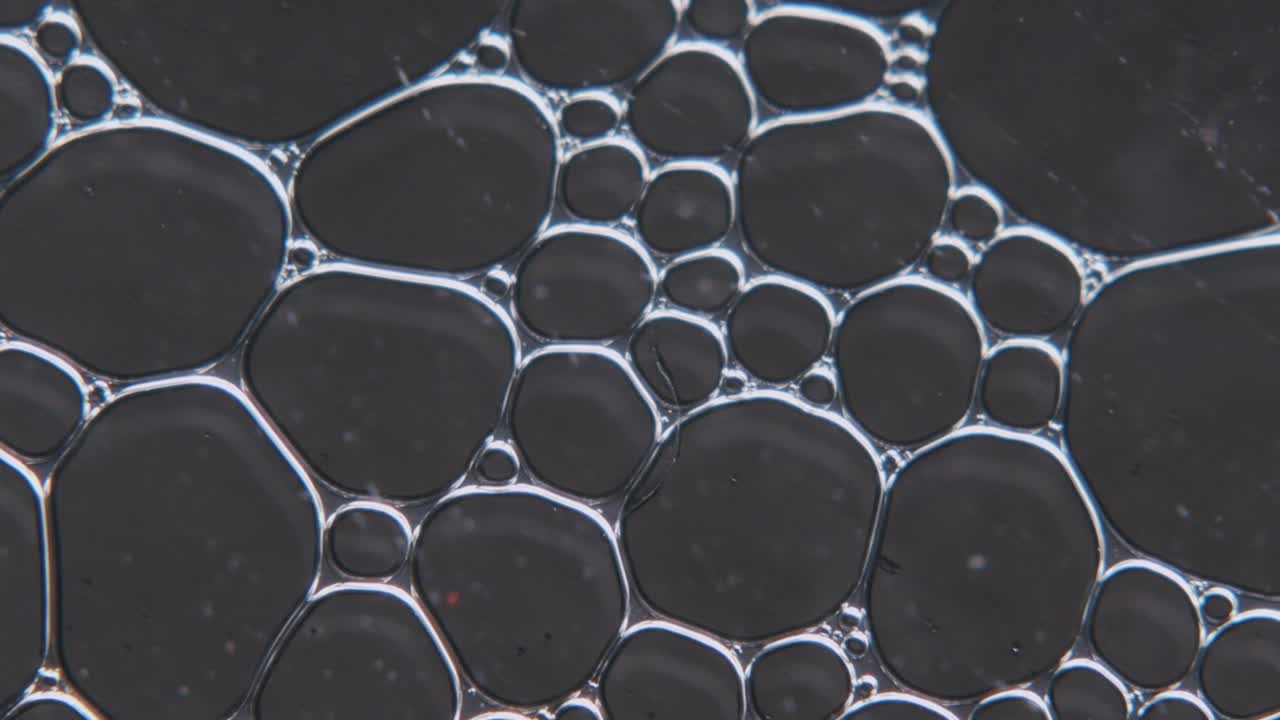 어두운 배경의 프레임을 통해 이동하는 백혈구