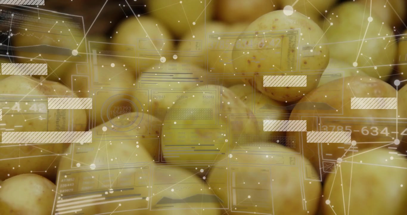 Camera gliding over yellow potato crate, causing data overlays showing quality for marketing