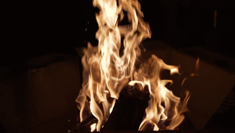 feu de camp brûlant au ralenti fournit chaleur et confort la nuit