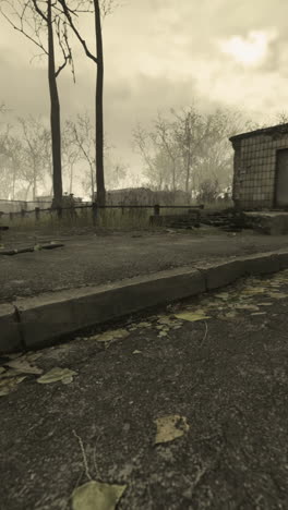 eerie abandoned neighborhood with barren trees and cloudy skies