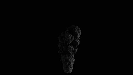 Large-scale-front-view-of-smoke-rising-animation-with-alpha-channel-(transparent-background)