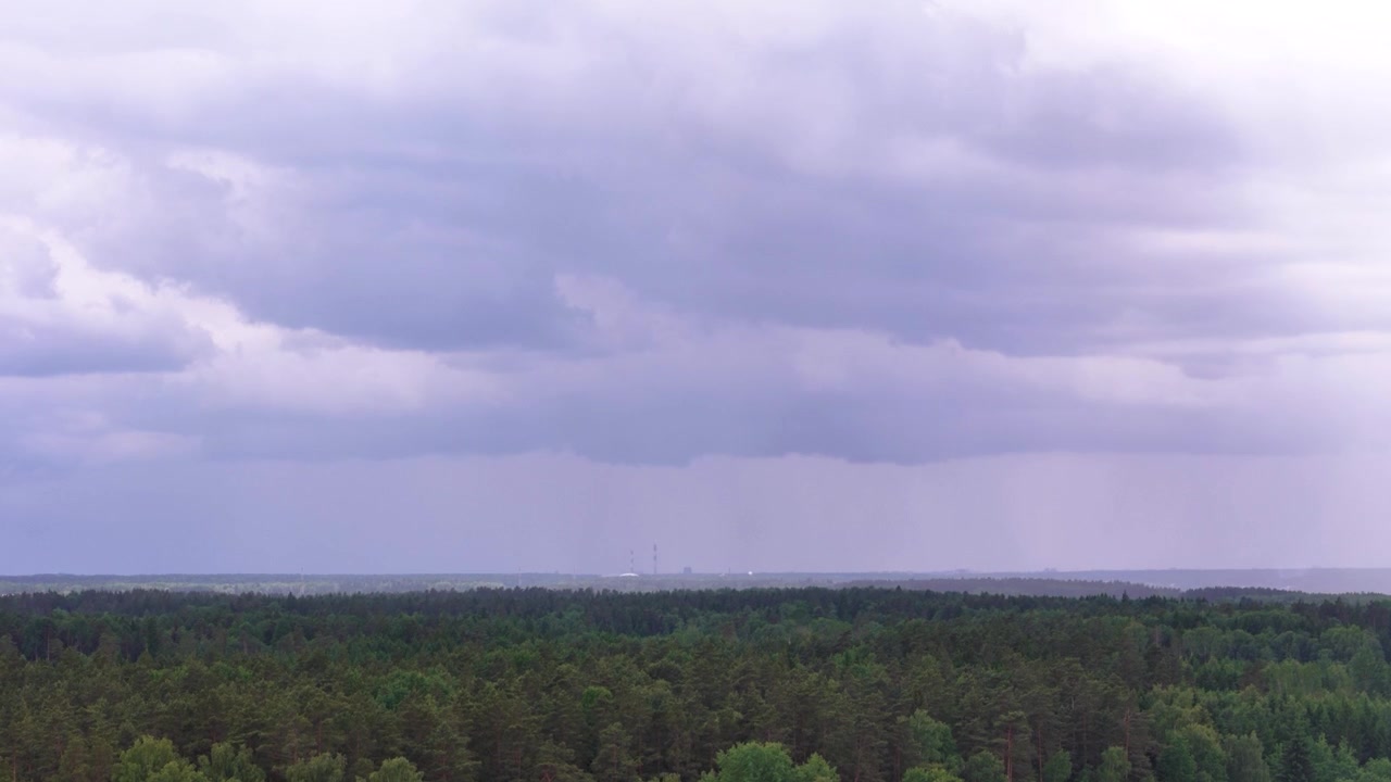 Heavy storm clouds pour rain over lush Lithuanian forest landscape.