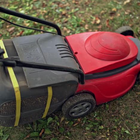 working process of lawn mower outdoors. boy cutting grass in his yard with corded electric lawn mower.