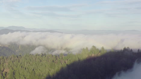 passing over a ridge as low clouds from the pacific ocean roll in over a hilly forest on the west coast