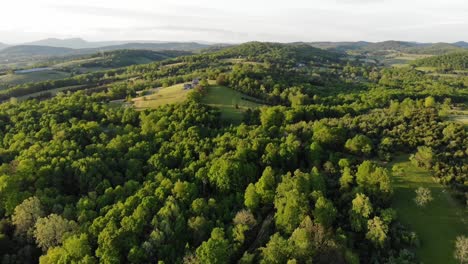 Luftaufnahmen-In-Den-Ausläufern-Der-Blue-Ridge-Mountains-Im-Sommer