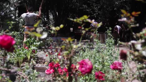 Long-shot-people-scrubbing-the-urban-garden