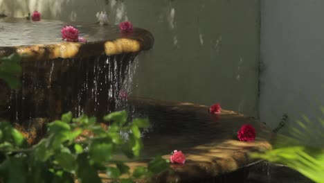 Flowers-in-fountain-on-wine-farm