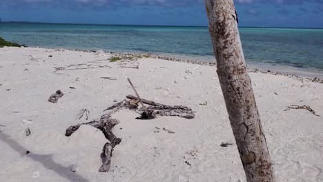 bird footprints on white sand beach with sailboat and children play in caribbean sea background, pan left