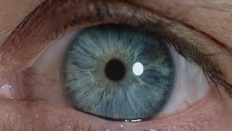 cerca de la belleza macro apertura del ojo con un hermoso iris azul