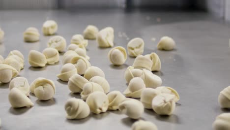 frozen dumplings on a metal surface