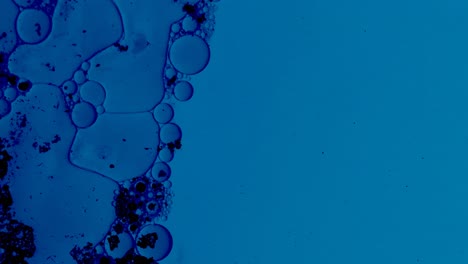 microscopic particles float in a blue substance with oils and hazardous substances