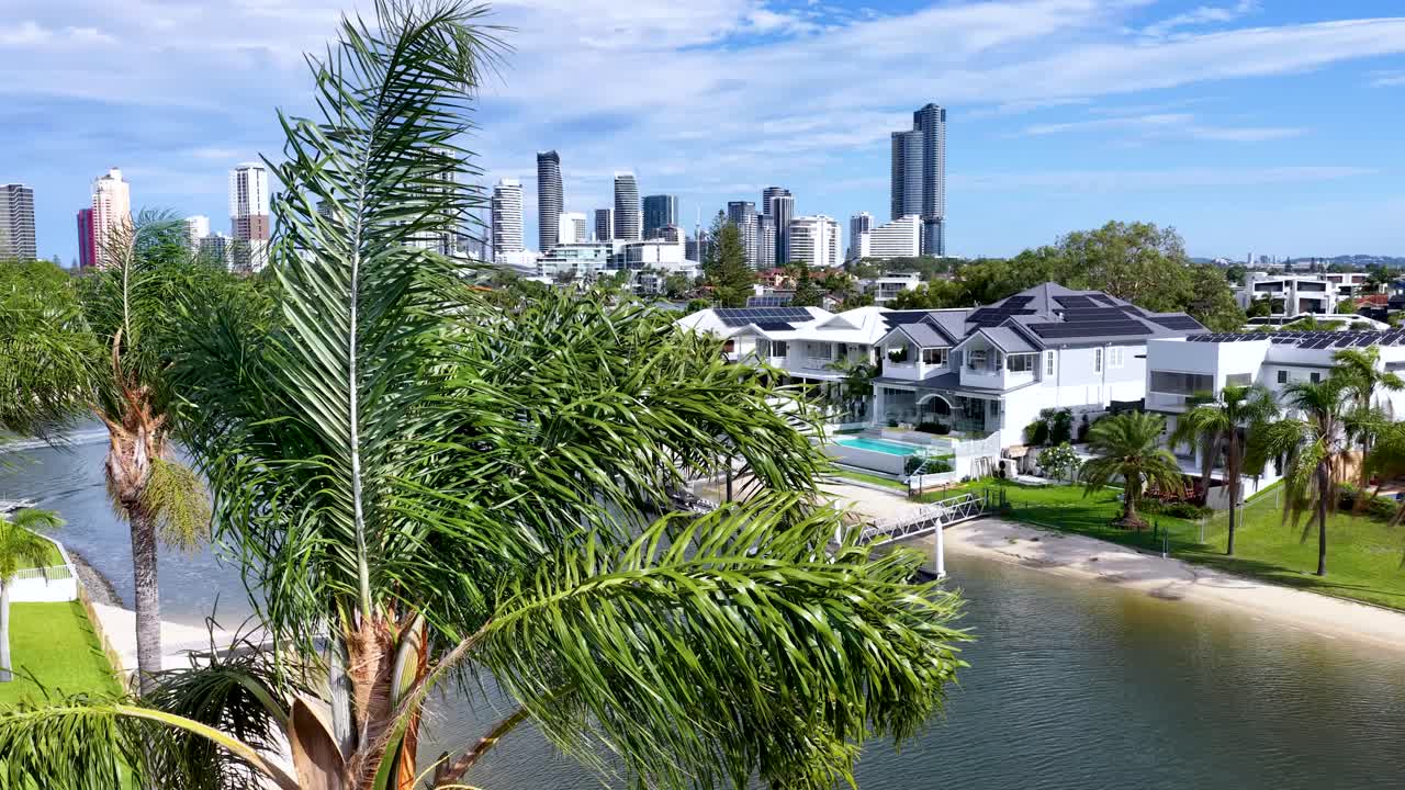 Drone pans above palm trees, modern canal homes, city skyline under bright daylight, Gold Coast