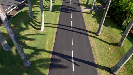 Allee-Dumanoir-Avenue,-Gesäumt-Von-Palmen-Im-Sommer-In-Capesterre-Belle-Eau,-Guadeloupe,-Frankreich