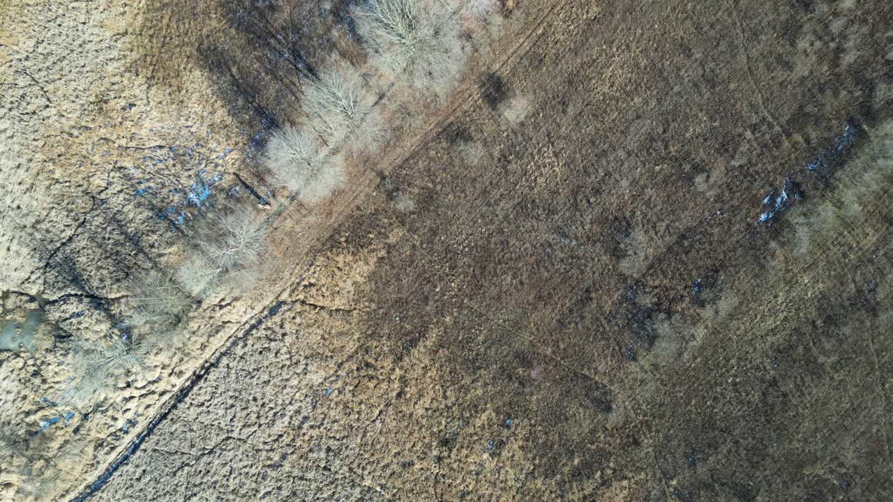 un dron sobrevolando un campo de maíz de invierno muerto que no se ha utilizado en algunos años
