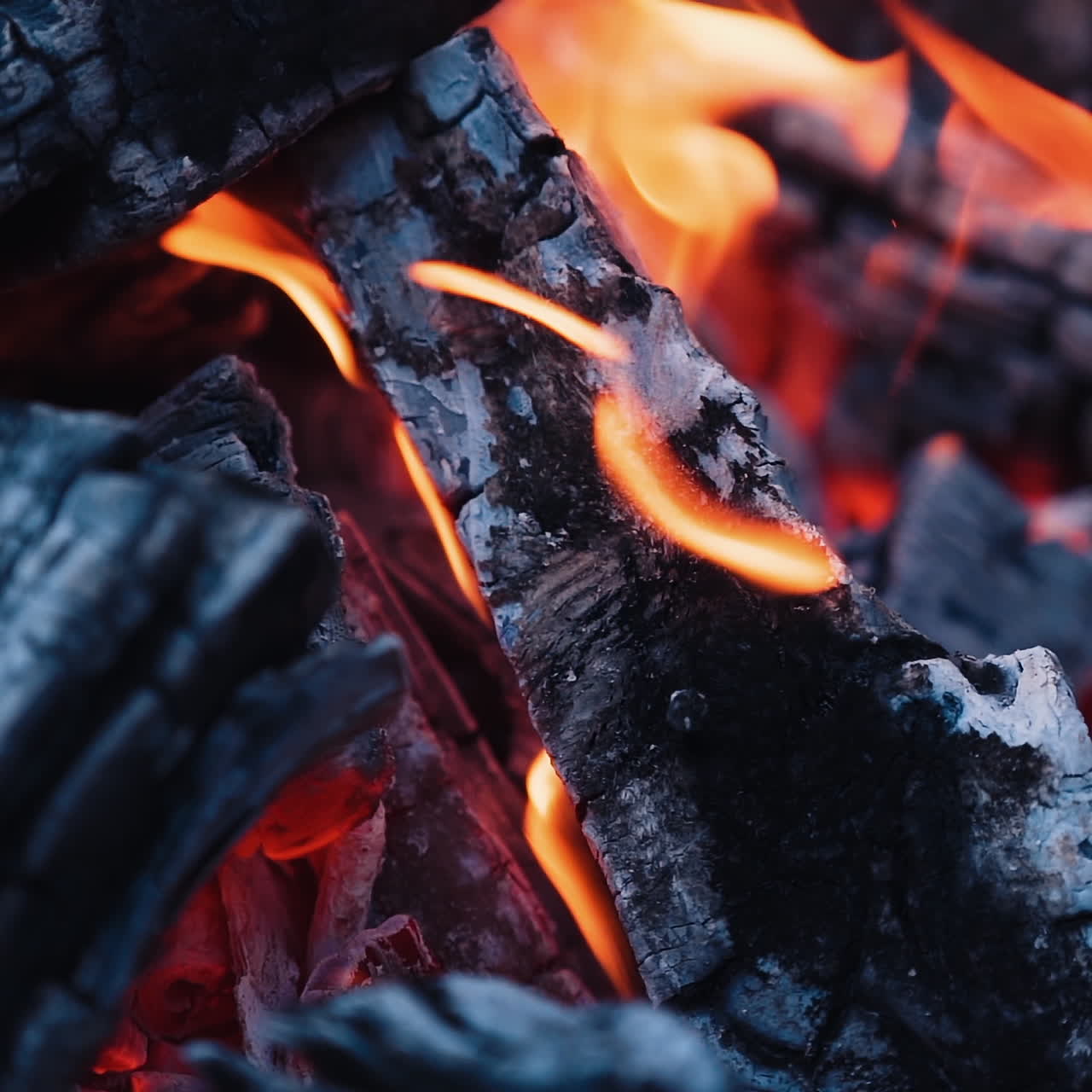 Smoldered logs in burnt fire. Dark firewood with light flame in slow motion. Close-up.