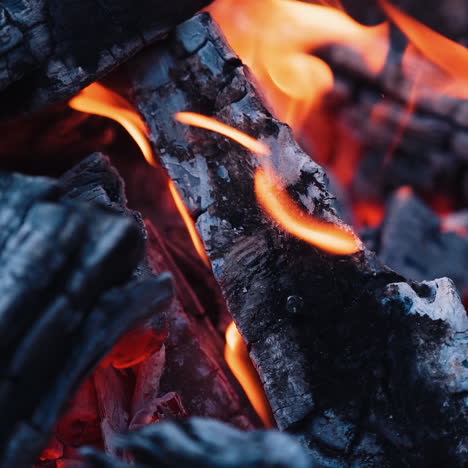 smoldered logs in burnt fire. dark firewood with light flame in slow motion. close-up.