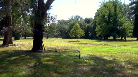 aspersor de césped en el parque