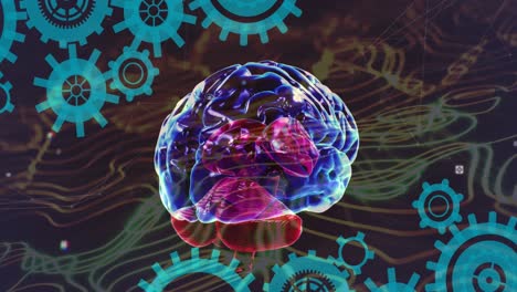 animación del cerebro humano, engranajes y procesamiento de datos y red de conexiones