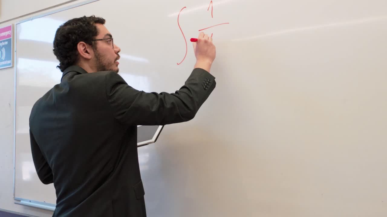 Profile of a Young Professional Teaching a Class