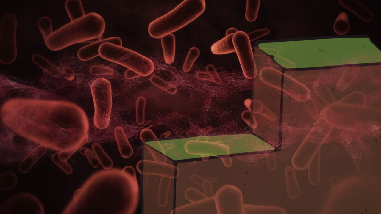 animación de formas sobre las células del virus