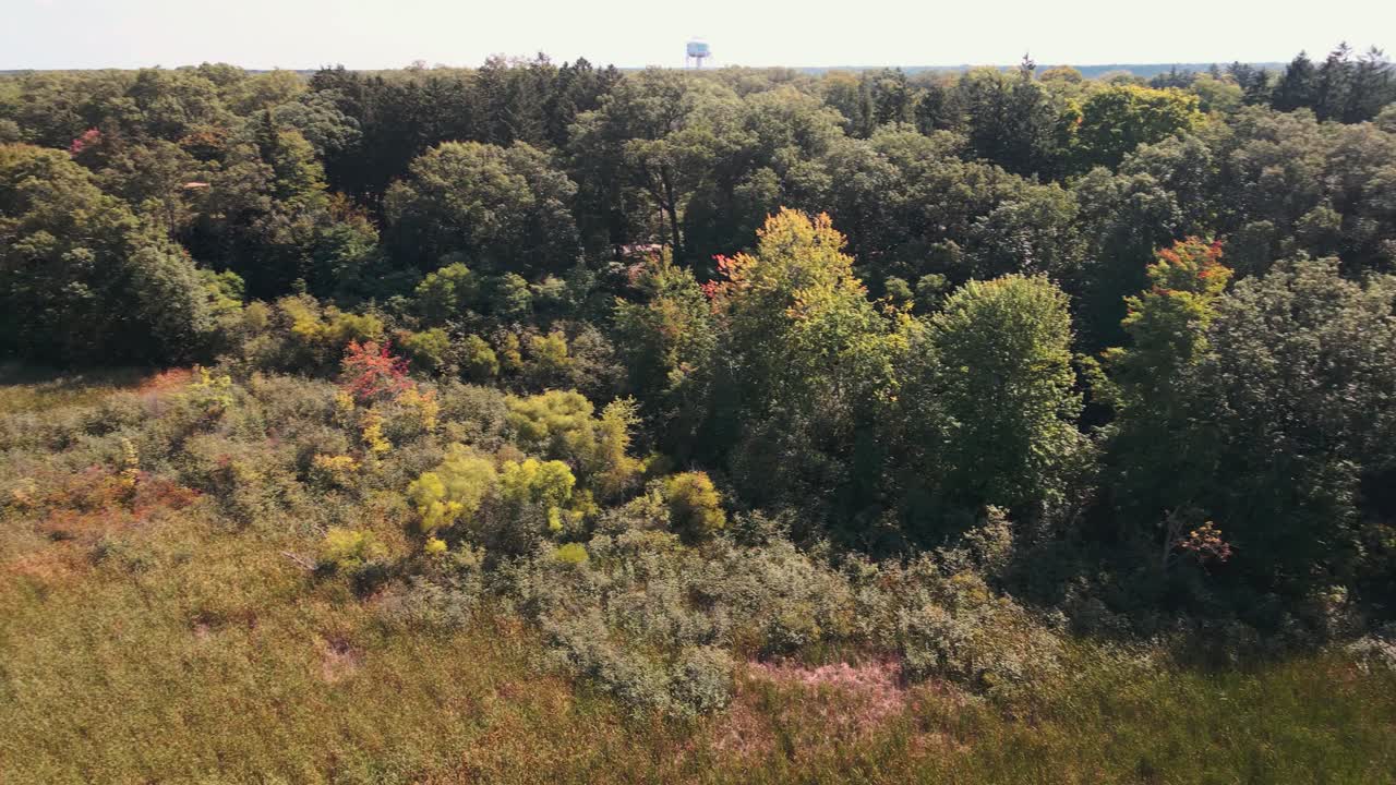 Hidden marsh creek. Drone rotation around the area