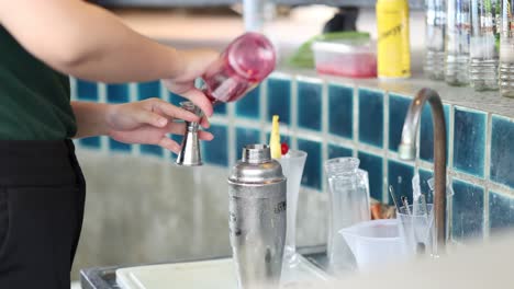 bartender preparing a cocktail with shaker