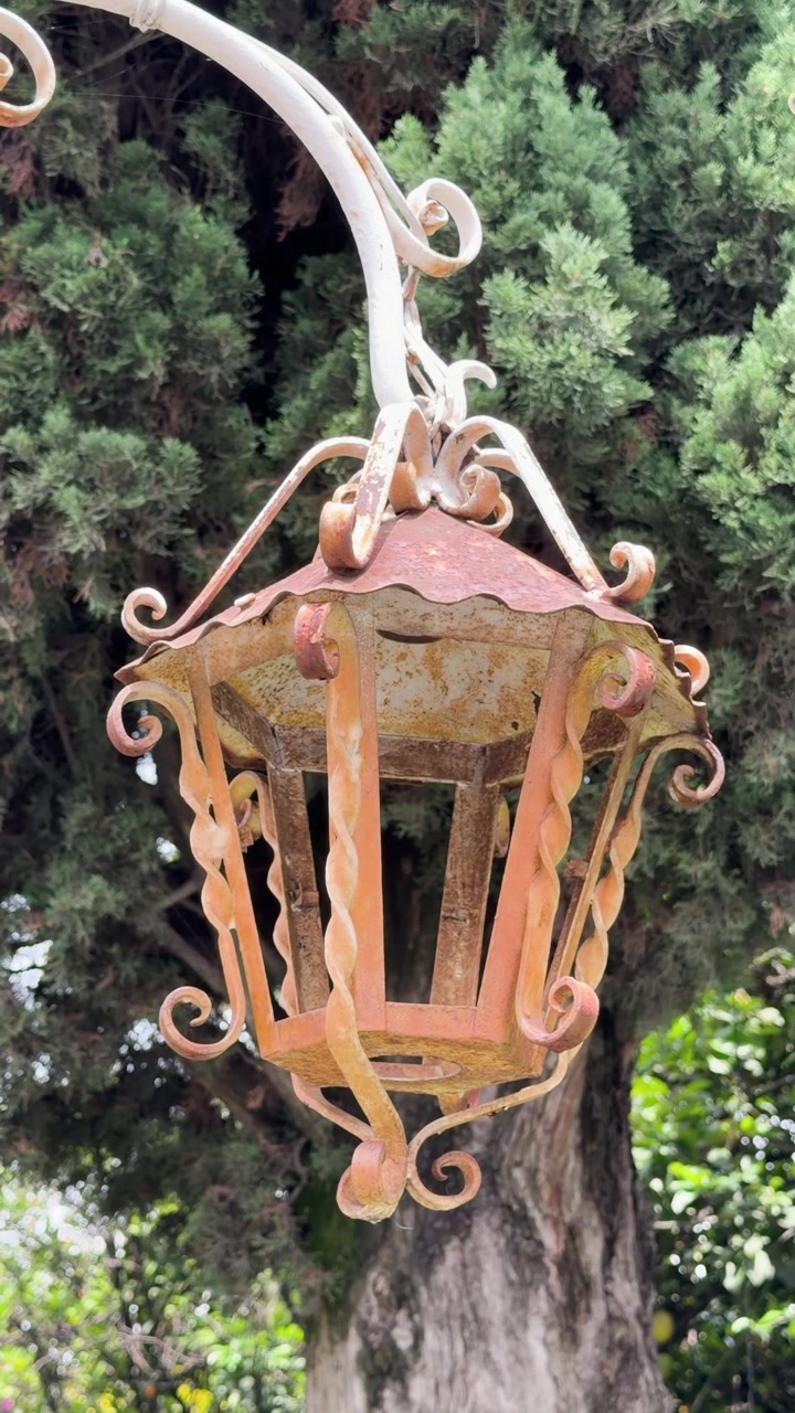 Lanterna vintage arrugginita appesa all'aperto con alberi sullo sfondo, scena diurna