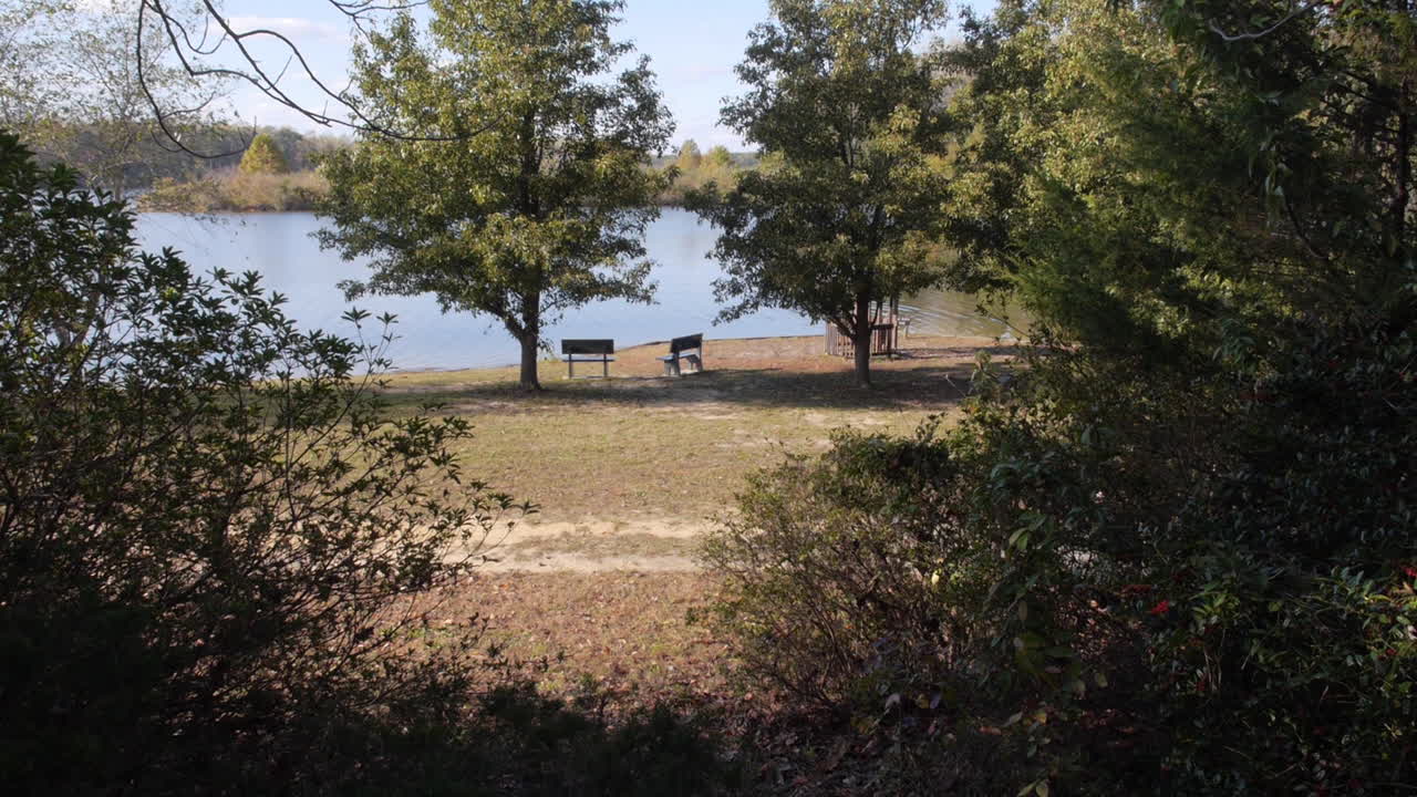 Twin benches beside a peaceful pond.  Shot from a distance, as if someone is watching from the bushes...