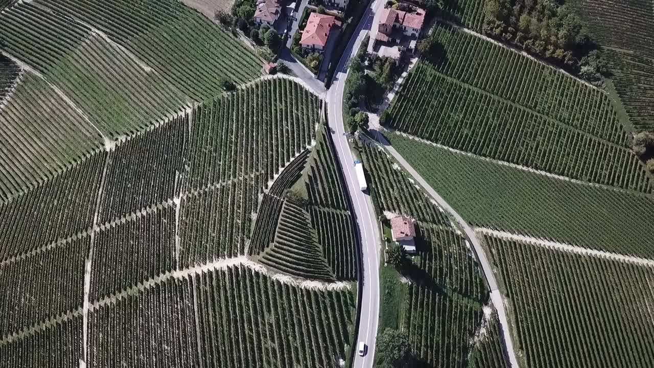 Veduta aerea di vigneti perfettamente curati e di un piccolo villaggio in Piemonte, Italia.