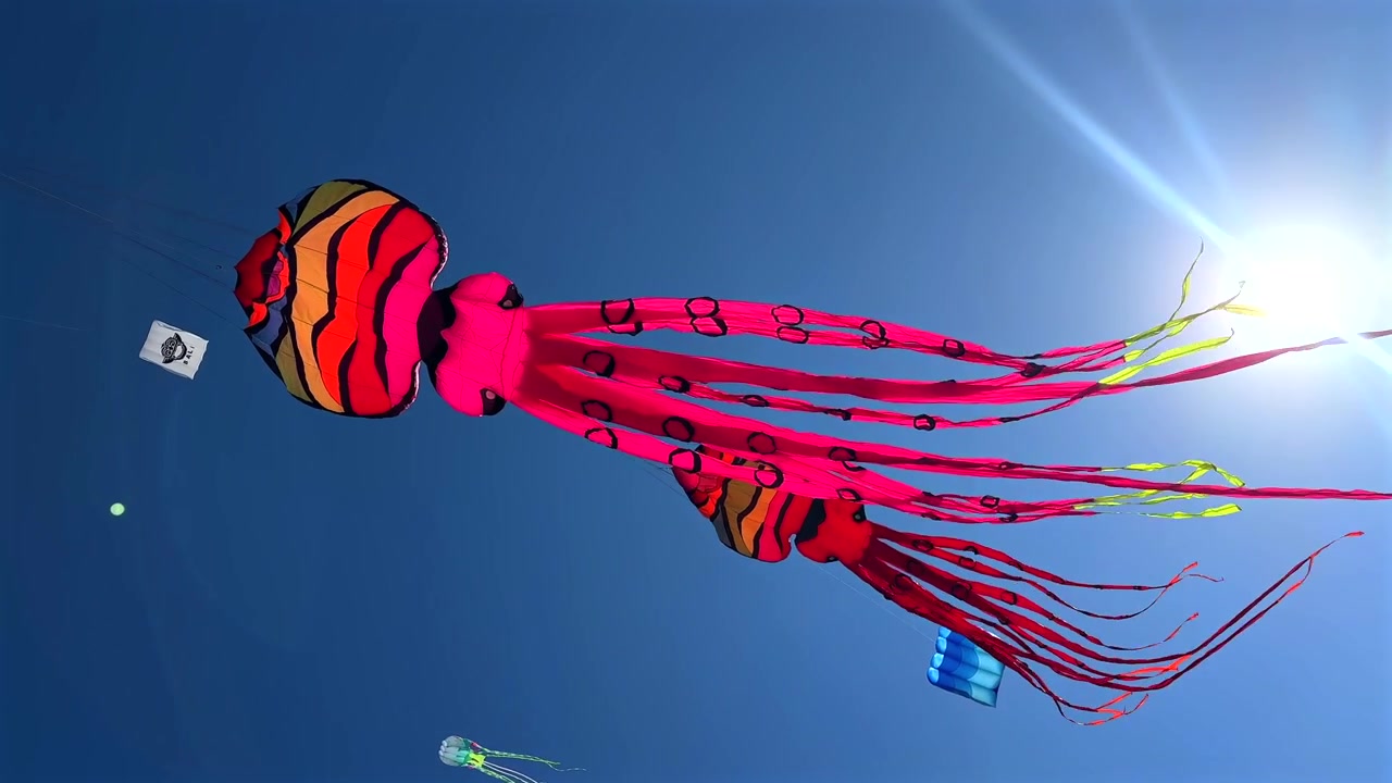 Grandi aquiloni a forma di polpo che volano in un cielo azzurro limpido