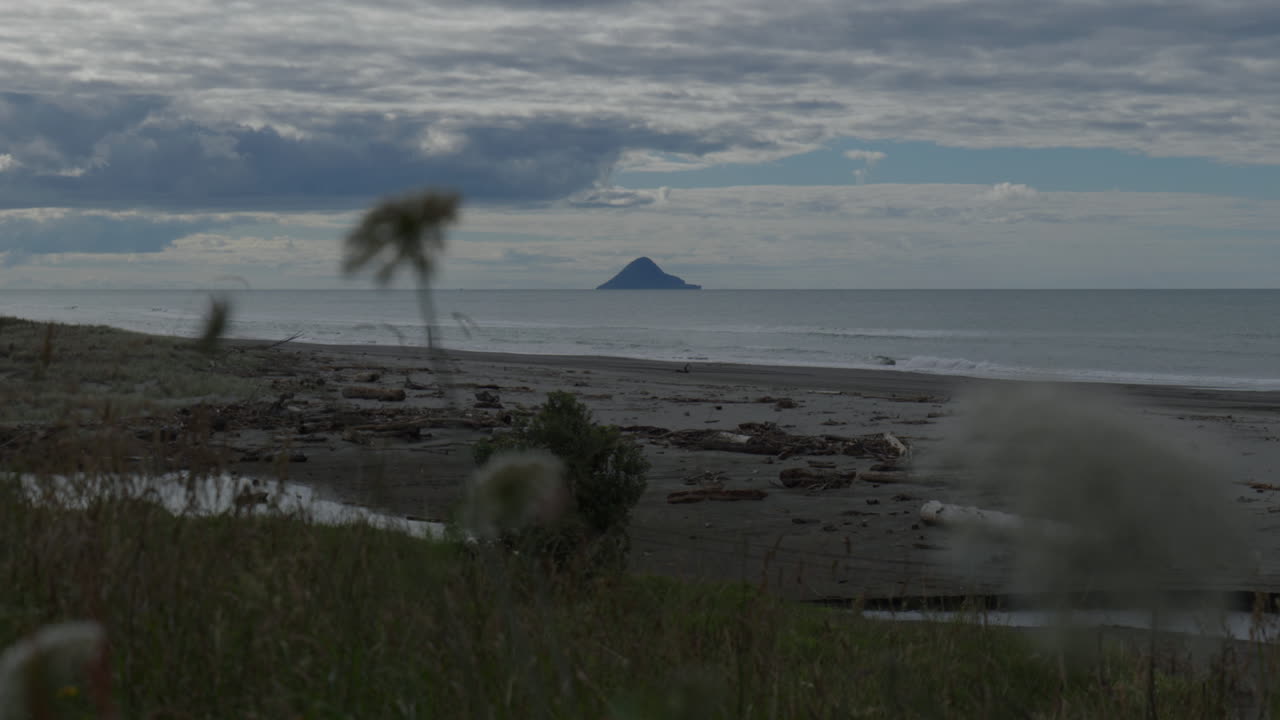Island through flowers blowing on the beach at Opotiki, New Zealand.